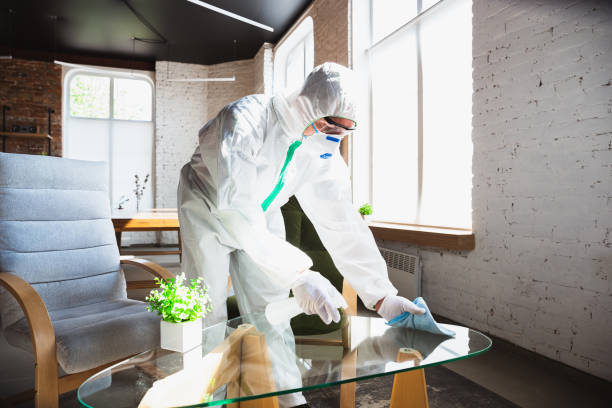 Reliable Downey, CA Mold Removal Services Solutions