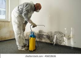 Why You Should Choose Our Mold Remediation Services in Downey, CA